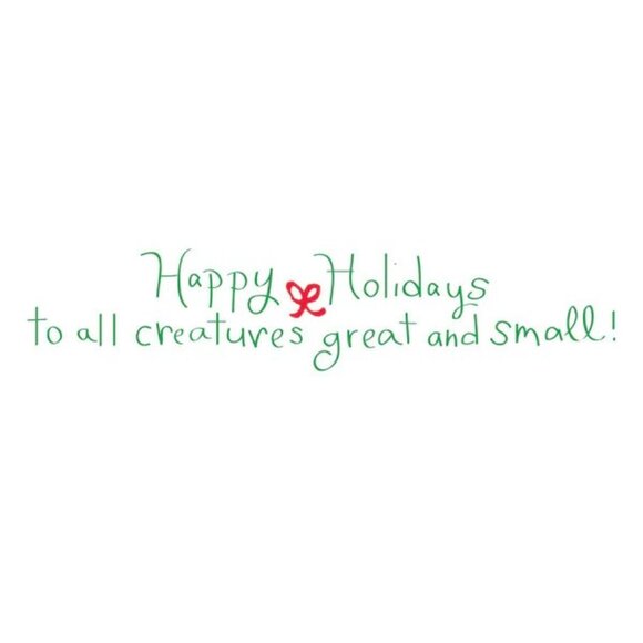 NEW Graphique Share Your Joy! Holiday Cards Dogs Cats 10 Cards & Envelopes 5x6.6 - Picture 2 of 3